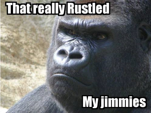 326-that-really-rustled-my-jimmies.png