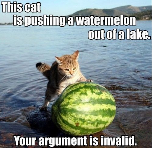 Argument-is-invalid-cat.jpg