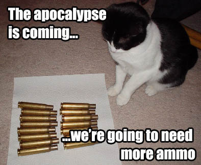 cat versus zombie apocalypse.jpg