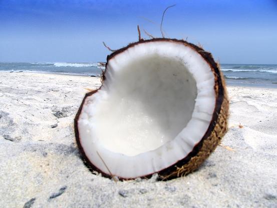 Coconut%20on%20Beach.jpg