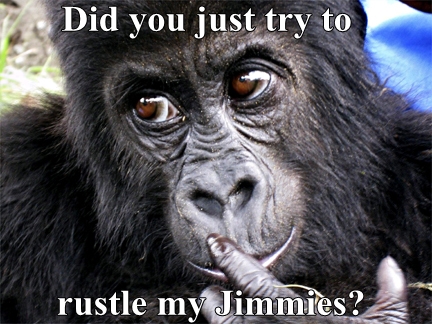DID-YOU-JUST-TRY-TO-RUSTLE-MY-JIMMIES.jpg