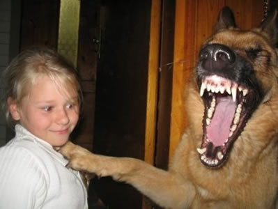 girl-and-a-laughing-dog.jpg