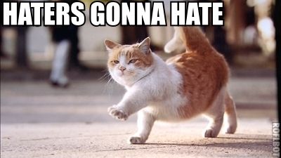 Haters gonna hat cat.jpg