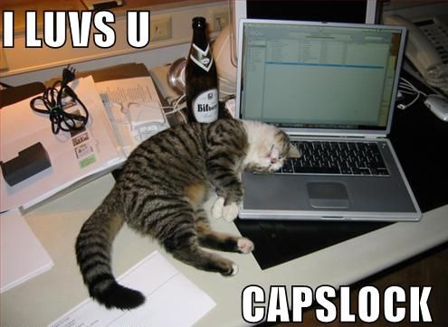 I luv capslock cat.jpg