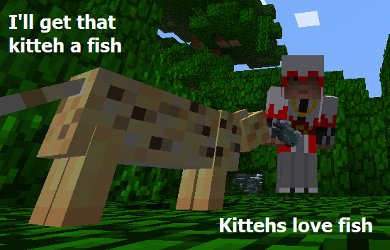 kittehLikeFish.png