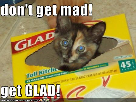 Lol Cat glad.jpg