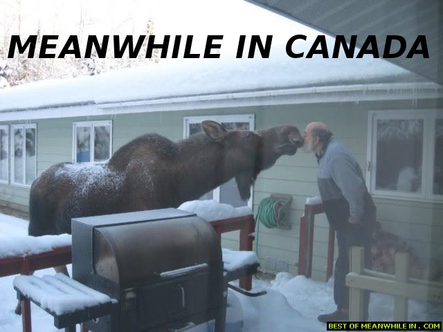 Meanwhile in Canada.jpg