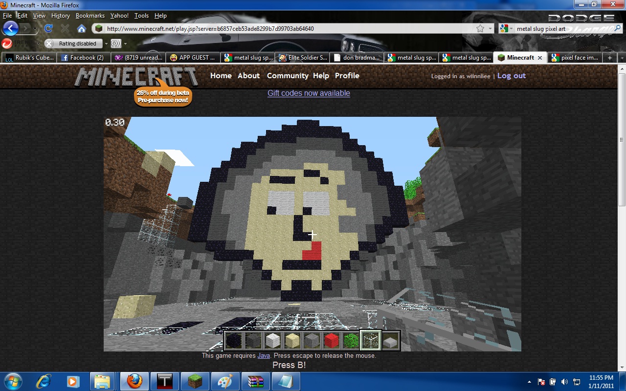 minecraft face.jpg