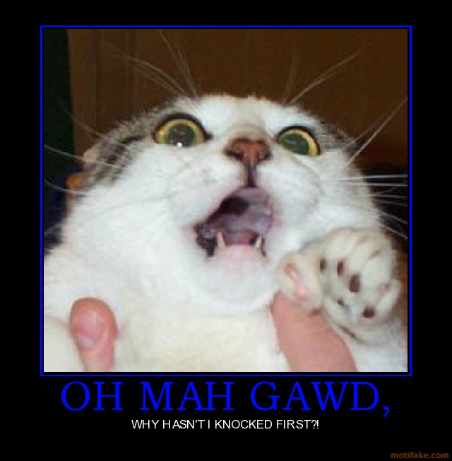 oh-mah-gawd-cat-scared-knocked-door-first-demotivational-poster-1284307183.jpg