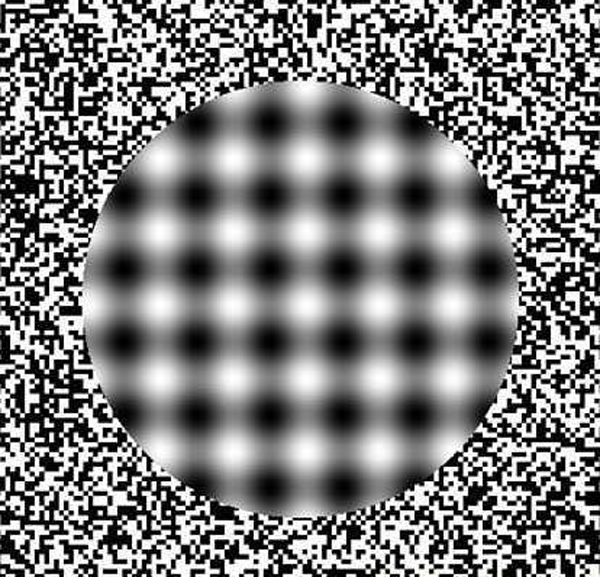 optical-illusions-008.jpg