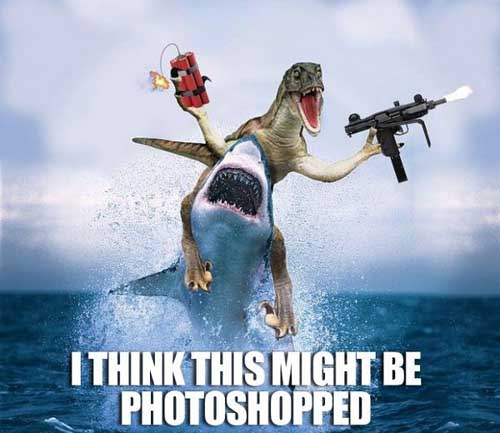 raptor-riding-a-shark.jpg