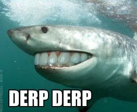 shark_derp_4.jpg