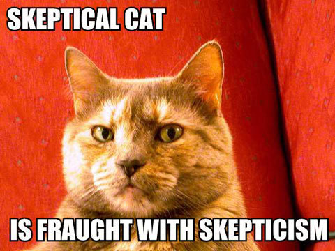 skeptical cat.jpg