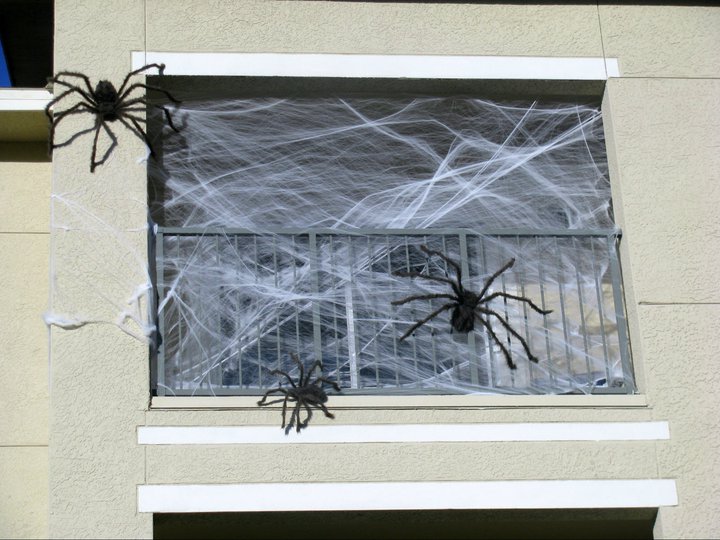 spiderinfe.jpg