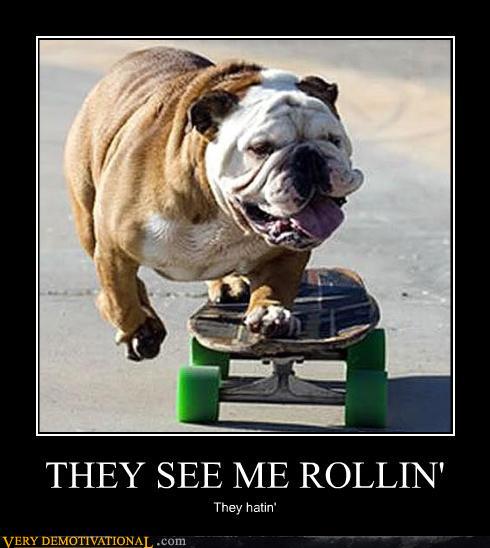 they see me rollin.jpg