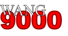 WANG9000.png