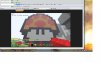 Mario mushroom head dude.jpg
