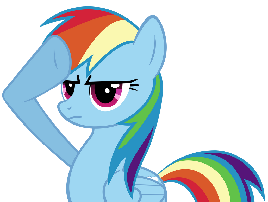 rainbow_dash_salute_by_atomicgreymon-d3bo0dx.png