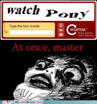 my-little-pony-friendship-is-magic-brony-the-only-order-i-obey.jpg