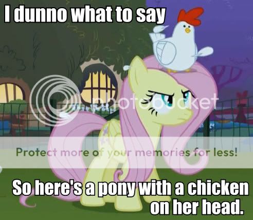3678420-20chicken20fluttershy20head20i_don27t_know_what_to_say20your_argument_is_invalid.jpg