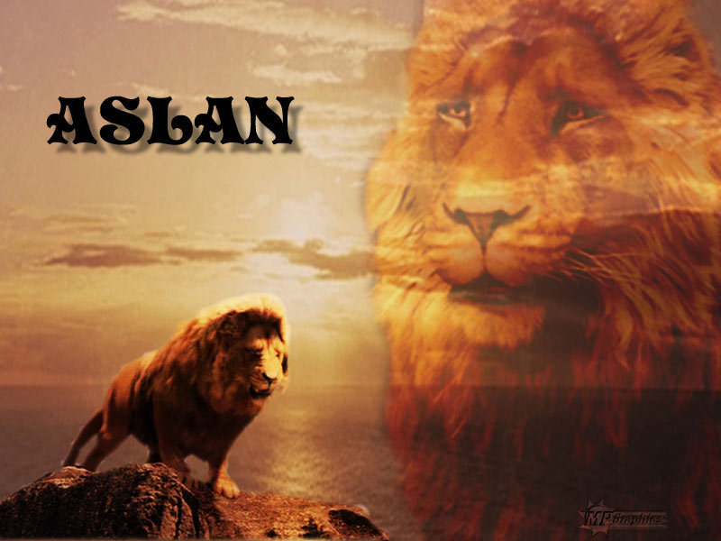 aslan-the-king-of-narnia-aslan-the-king-20650333-800-600.jpg