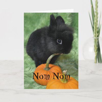 nom_nom_halloween_bunny_card-p137213641592653102bfzif_400.jpg