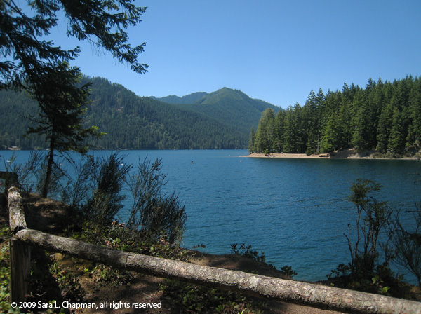 lakecushman3271.jpg