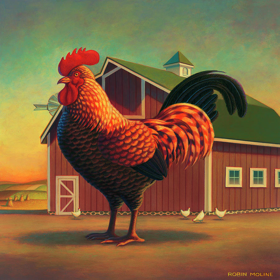 rooster-and-the-barn-robin-moline.jpg