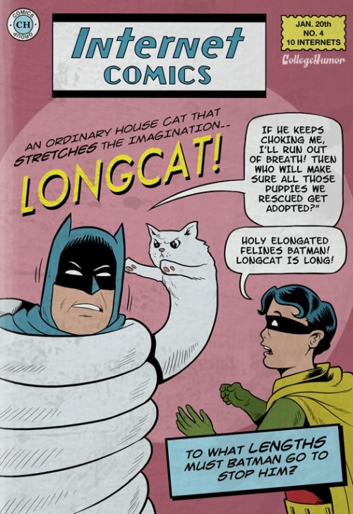 batmanvs.internet-500x728.jpg