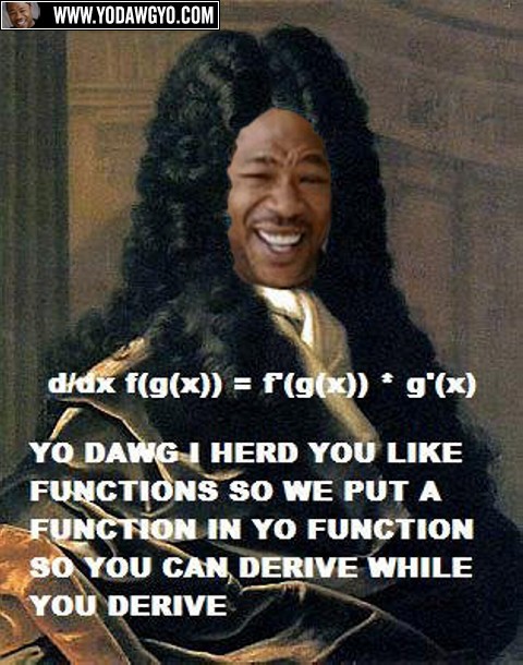 xzibit-yo-dawg-i-herd-you-like-functions-newton.jpg