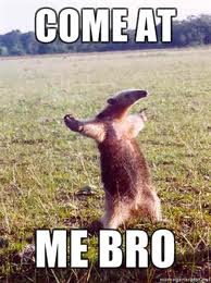 come-at-me-bro-meme-anteater.jpg