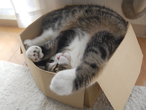 maru-20090425-125127.jpg