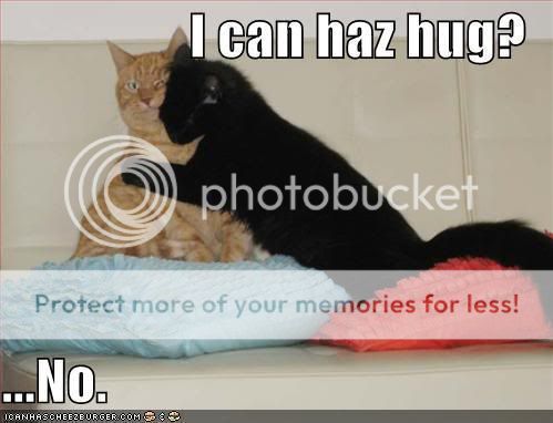 funny-pictures-one-cat-wants-a-hug-.jpg