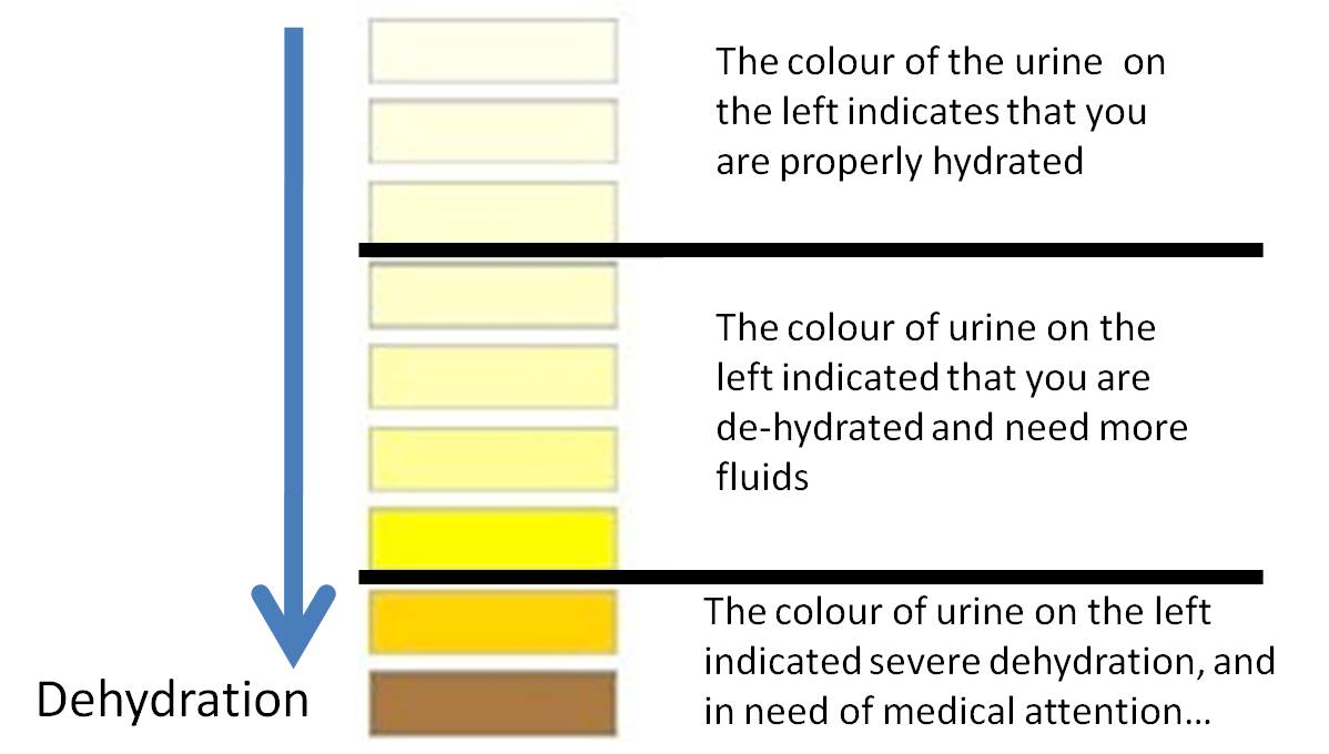 urine%2Bchart%2Bdehydration.jpg