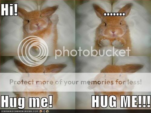 funny-pictures-bunny-wants-hug.jpg