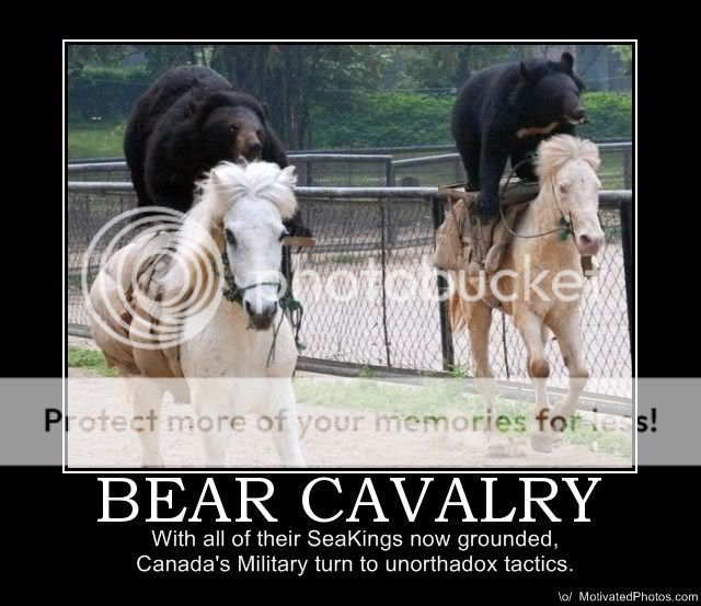 633504767147376904-bear-cavalry.jpg