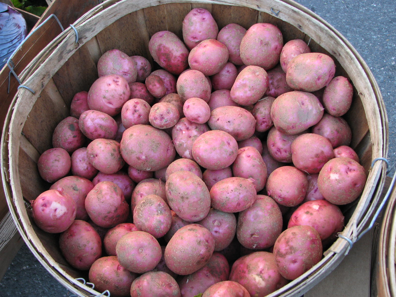 Red-potatoes-3.jpg