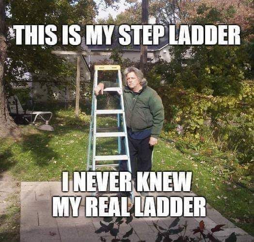 Meet my step ladder | Funny pictures, Funny, Best funny pictures
